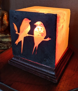 Lampe de sel 4kg oiseaux 12.5x12.5cm